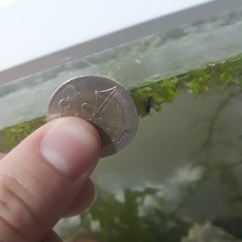 CanlıPetShop Sipariş Açıklamalarına Uymayan Teslimat