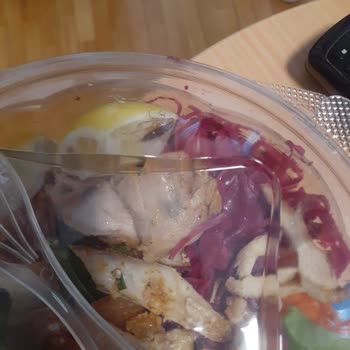 ISS Türkiye Öğle Yemeğinde Salatadan Çıkan Böcek