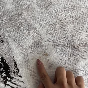 Paris Halı Yıkama Halılarım Kirli Olarak Geri Geldi