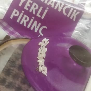Yayla Bakliyat Paket İçerisindeki Böcekler