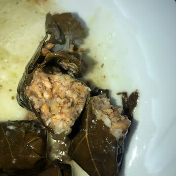 Yurt Konserve Yurt Sarma Konserve
