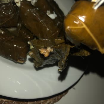 Yurt Konserve Yurt Sarma Konserve