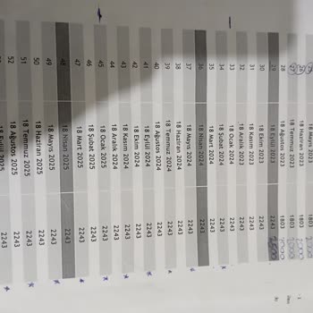 Fuzul Evden Şikayetçiyim