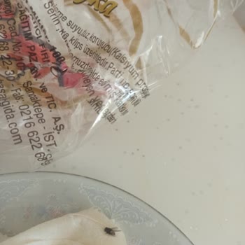 BİM Başak Gıda Connex Yufkadan Sinek Çıktı