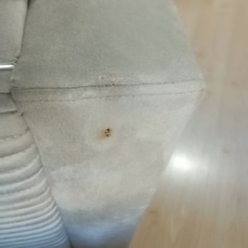 Poli Mobilya AVM Çınar Home. Oturma Gurubu Aldık Yanık Ve Taşımada Çok Zarar Verildi.