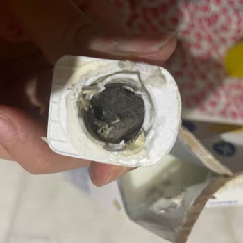 Sek Süt Küflü Süt Satıyor!