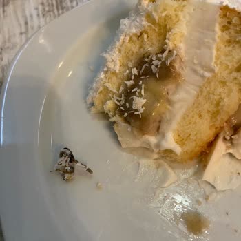 Özen Pastanesi (Uşak) Pastamın İçinden Arı Çıktı