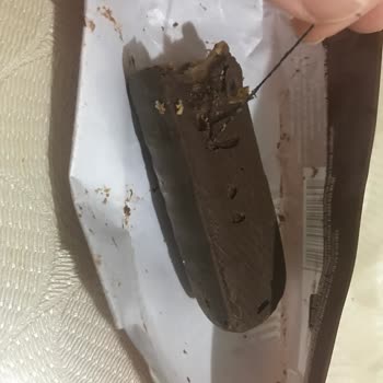 A101 Xroll Marka Sütlü Çikolata Kaplı Karamelli Bisküviden İp Çıktı.