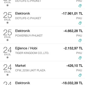 Garanti BBVA Aldığı Kur Farkı