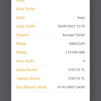 Avrasya Tüneli Geçmedim Halde Ne Cezası