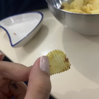 Amigo Cipsten Böcek Çıktı