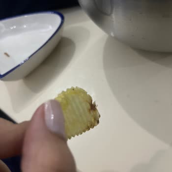 Amigo Cipsten Böcek Çıktı