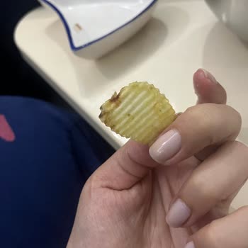 Amigo Cipsten Böcek Çıktı