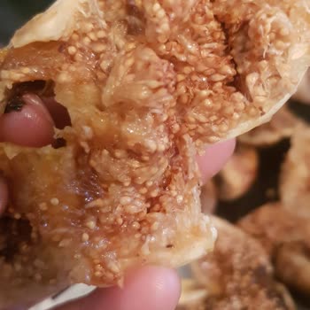 incirciamca.com Bozuk İncirler