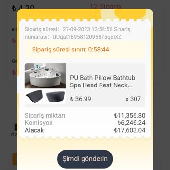 İş Bulma Vaadiyle Dolandırıcılık Görev Tamamlandığından Paramı Vermiyor