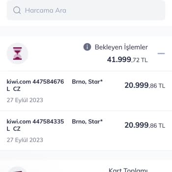 Kiwi.com'dan Alınan Bilet İle İlgili Sorun
