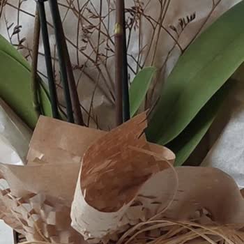 ÇiçekSepeti Sipariş Mağduriyeti