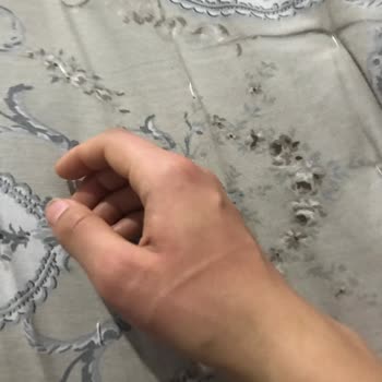 Aile ve Sosyal Hizmetler Bakanlığı Çocuk Hizmetleri Genel Müdürlüğü Kadına Şiddet Yönelik