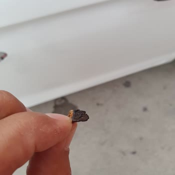 Philip Morris Sigaranın İçinden Odun Parçaları Çıkması