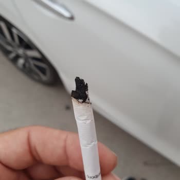 Philip Morris Sigaranın İçinden Odun Parçaları Çıkması