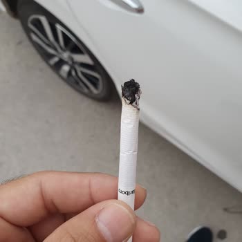 Philip Morris Sigaranın İçinden Odun Parçaları Çıkması