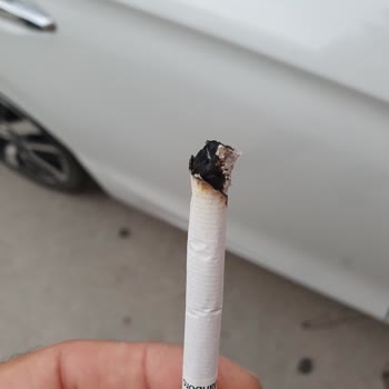 Philip Morris Sigaranın İçinden Odun Parçaları Çıkması