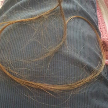 Milli Eğitim Bakanlığı (MEB) Kaynaştırmalı Öğrenci Şiddeti.