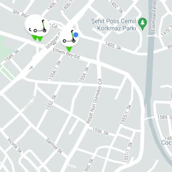 Martı Kullanım Alanı Dışı