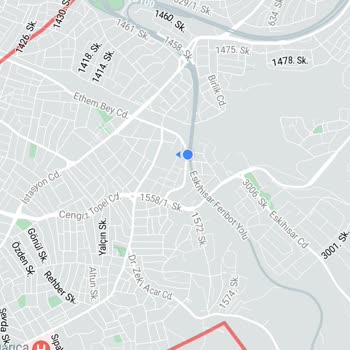 Martı Kullanım Alanı Dışı