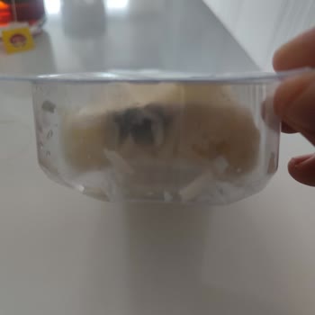 Kebir Kuymak Peyniri Kapalı Kutu Fakat Küflenmiştir!