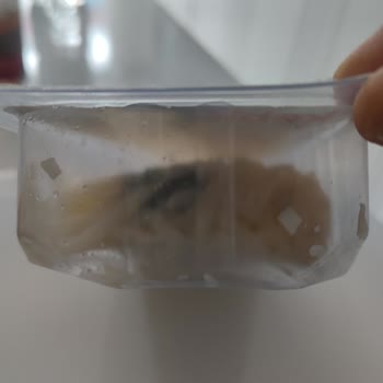 Kebir Kuymak Peyniri Kapalı Kutu Fakat Küflenmiştir!