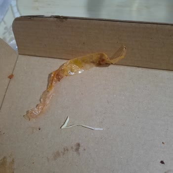 Migros Yemek Yemek Siparişinde Plastik Poşet Sorunu