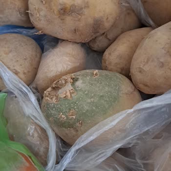 Migros Ezik Çürük Sebze Gönderildi