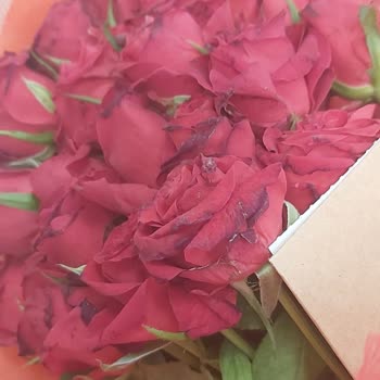 Çiçek Sepeti İade Ve Teslim Sorunu