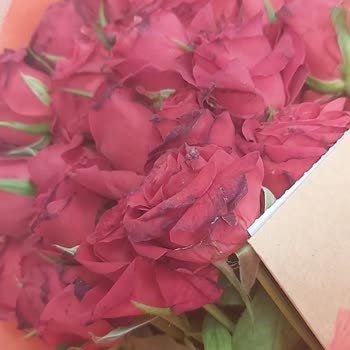 Çiçek Sepeti İade Ve Teslim Sorunu