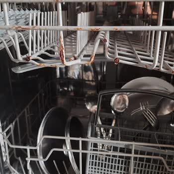 Teka Bulaşık Makinesi Sepetinin Küflenmesi