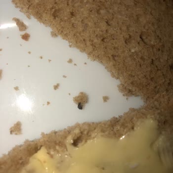 UNO Premium Ekmeğimin İçinden Sinek Çıkması!