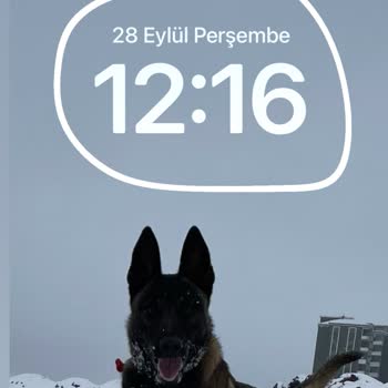 PTT Kargo Sürücü Belgem Eve Teslim Edilmiyor