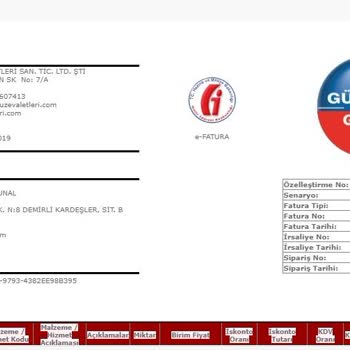 Electrolux Dikey Süpürge Arızası