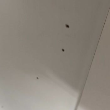 Mondihome Teslim Edilmeyen Ürün+Teslim Edilip Hatalı Olan Ürünler