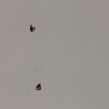 Mondihome Teslim Edilmeyen Ürün+Teslim Edilip Hatalı Olan Ürünler