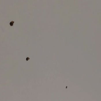 Mondihome Teslim Edilmeyen Ürün+Teslim Edilip Hatalı Olan Ürünler