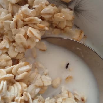 Hakmar Gıda Happylife Yulaf Ezmesi Böcek Çıktı