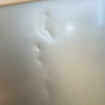 Beko Ek Garanti Belgesi