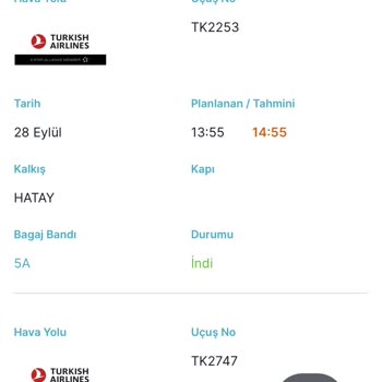 THY Kalkmış Görünen Tk2665 Kodlu Uçuşu Sebepsiz Bekletiyor