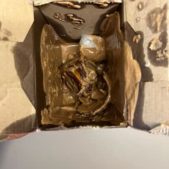 MNG Kargo Ürünümü Müşterime Paramparça Teslim Etti