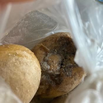Migros Hemen Kurtlanmış Patates!
