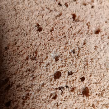 Şok Marketler Küflü Malzeme Satışı