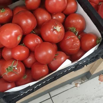 A101 Çürük Meyve Sebze Satılıyor