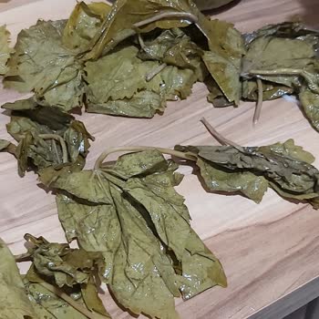 Egeden_81_ile Instagram'da Alınan Dolmalık Yapraklar Sorun Çıkarıyor